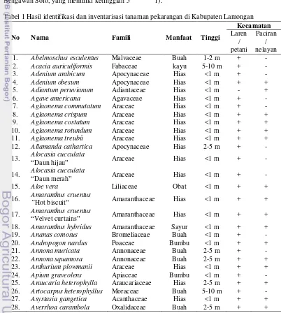 Tabel 1 Hasil identifikasi dan inventarisasi tanaman pekarangan di Kabupaten Lamongan 