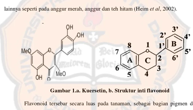 Gambar 1.a. Kuersetin, b. Struktur inti flavonoid  