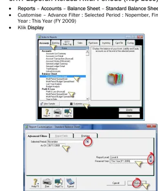 Gambar 3.4 Report Customisation – Standard Balance Sheet 