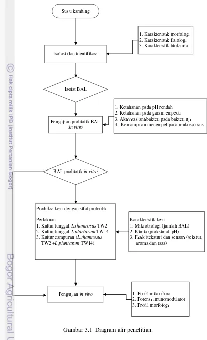 Gambar 3.1  Diagram alir penelitian. 