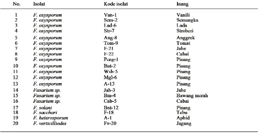Tabel 1. Isolat Fusarium spp. yang digunakan dalam penelitian