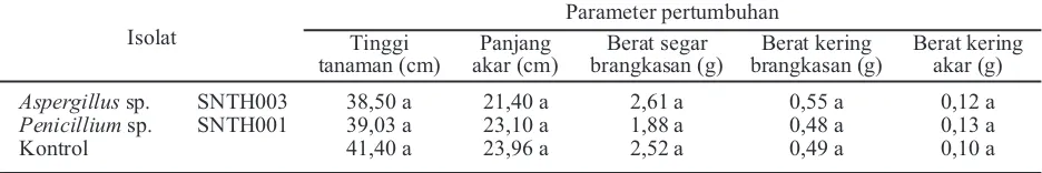Tabel 5. Rerata beberapa parameter pertumbuhan tanaman padi dalam uji isolat dua jamur asal tanah gambutsebagai PGPF