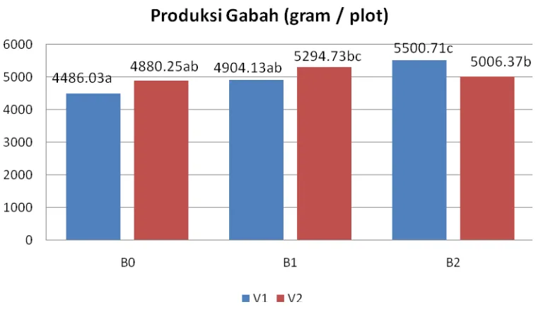 Gambar 3. Histogram Interaksi Varietas dan Bahan Organik Terhadap Produksi Tanaman  Padi dengan IP 400 (gr / plot) 
