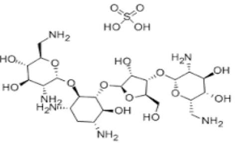 Gambar 2.3 Struktur kimia Neomisin sulfat  