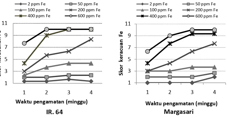 Tabel  3.2. Analisis ragam pengaruh konsentrasi Fe (0-600 ppm Fe)  dan varietas padi (IR 64 dan Margasari) terhadap skor keracunan Fe dan kadar Fe tanaman 