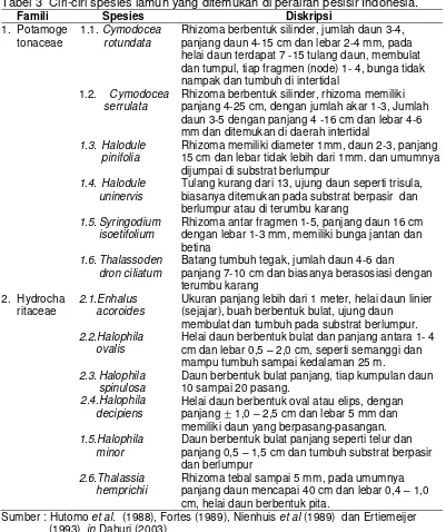 Tabel 3  Ciri-ciri spesies lamun yang ditemukan di perairan pesisir Indonesia. 