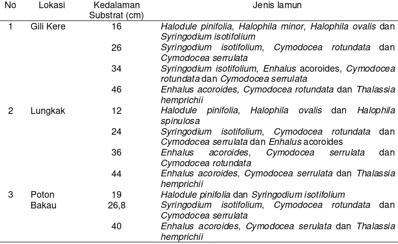 Tabel 25 Kedalaman substrat dan jenis lamun pada tiap areal padang lamun di lokasi penelitian 