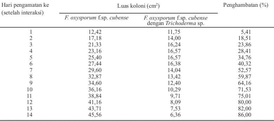 Tabel 1. Penghambatan Trichoderma sp. terhadap pertumbuhan Foc in vitro