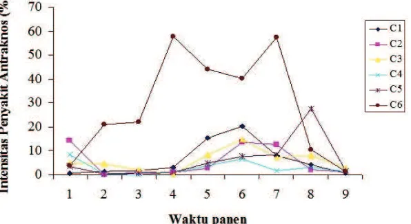 Tabel 1. Pengaruh penyemprotan dengan fungisida terhadap penyakit antraknos pada  pertanaman cabai di lapangan