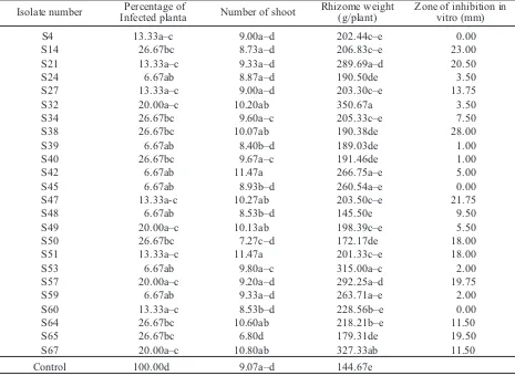 Table 4. Performance of  Streptomyces in the control of ginger bacterial wilt