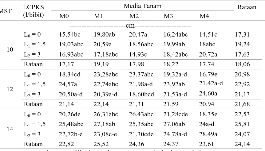 Tabel 2. Tinggi bibit  kelapa sawit pada pemberian berbagai dosis limbah cair dan komposisi media tanam  pada 10-14 MST 