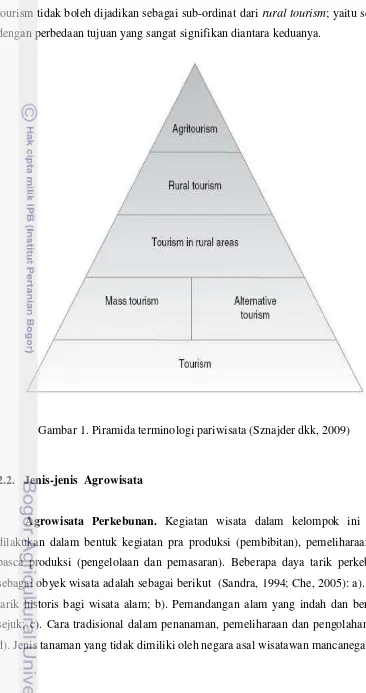 Gambar 1. Piramida terminologi pariwisata (Sznajder dkk, 2009) 