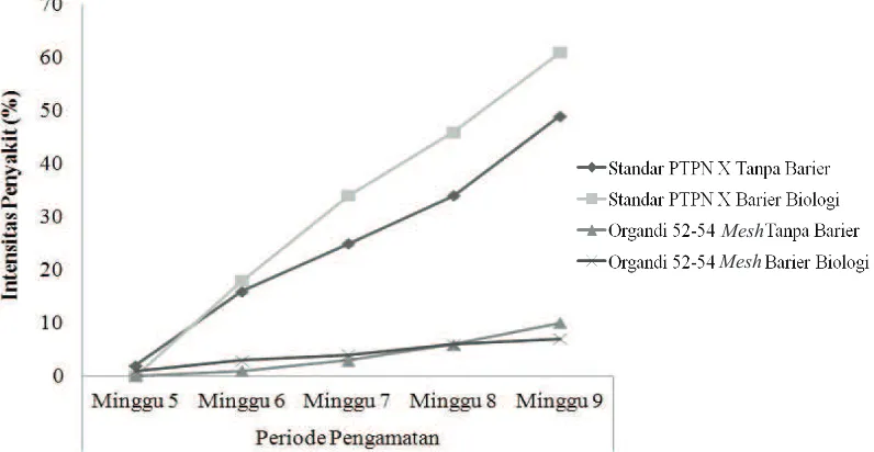Gambar 5. Performa tanaman tembakau berdasarkan jenis barier fisik yang digunakan: pertanaman dengan barierfisik kelambu PTPN X (A); pertanaman dengan barier fisik kelambu ber-mesh rapat (kain Organdi) (B)