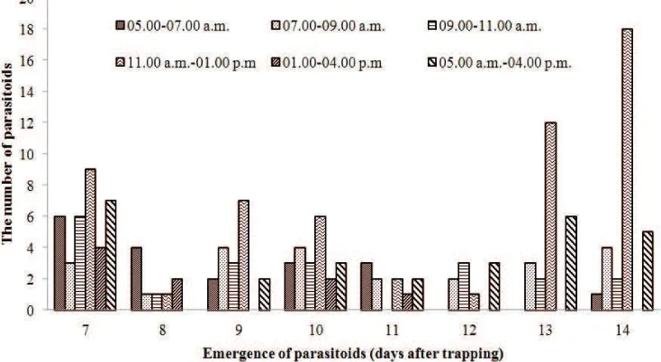 Figure 1. The number of parasitoids emerged and the parasitation level of Nilaparvata lugens eggs fromtrapping at different time of the day; the trapping was conducted in rice variety of Inpari 23 at 66days old in Kebonagung Village, Imogiri, Bantul; means followed by the same letter are notsignificantly different, DMRT at α=0.05