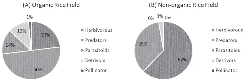 Figure 1. The composition of the individual number of insects during the planting season April–May 2015;in organic rice fields, 79% predators dominated by Micraspis frenata, not found (0%) insectsparasitoid and pollinators, 2% detrivors and 19% herbivorous (A); in non-organic rice fields, 81%of insect herbivores dominated by Nilaparvata lugens, not found (0%) insects parasitoid andpollinators, 2% detrivors and 17% predators (B)