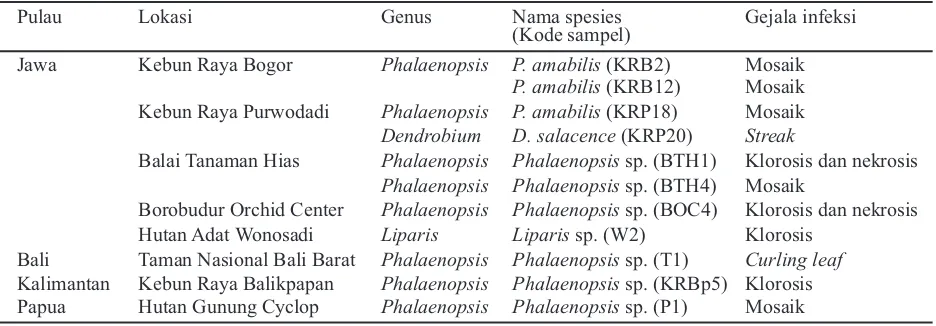 Tabel 3. Lokasi, genus, nama spesies dan gejala infeksi dari sampel positif ORSV berdasarkan uji serologisDAS-ELISA