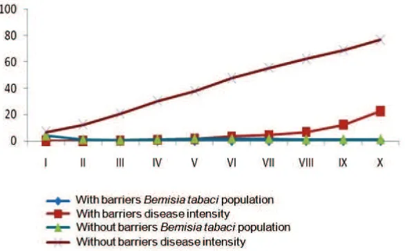 Figure 1. The average of Bemisia tabaci in pepper plots and yellow disease intencity with and without maizebarrier in first planting period (October 2014−Februari 2015)