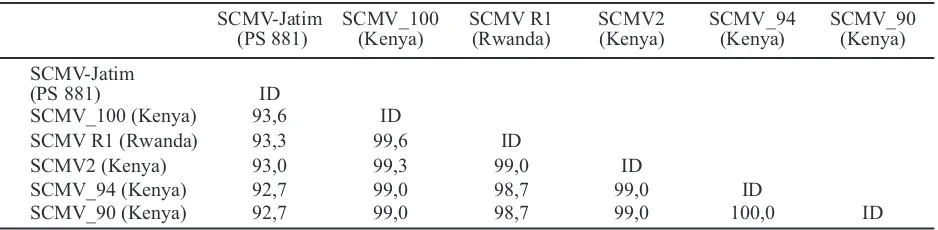 Gambar 3. Hasil elektroforesis yang diperoleh dari proses PCR menggunakan primer SCSMV CPF danSCSMV AP3 diamati melalui UV transiluminator: penanda 1 kb (M), varietas PS 881 (1),varietas VMC 7616 (2), varietas PSJK 922 (3), varietas PS 862 (4), varietas PS 864 (5), varietasBululawang (6), varietas Tolangohula 2 (7), Kidang Kencana (8), varietas PSBM 901 (9)