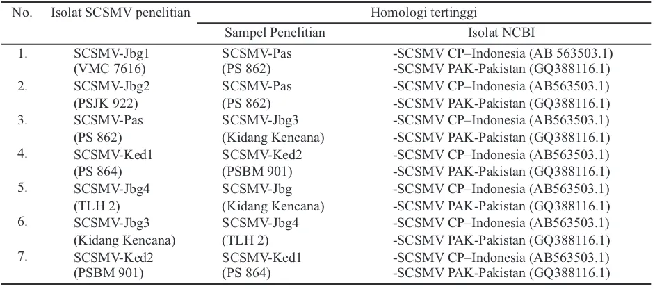 Tabel 3. Hasil analisis homologi basa nukleotida