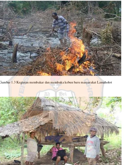 Gambar 1.3 Kegiatan membakar dan membuka kebun baru masyarakat Lamaholot 