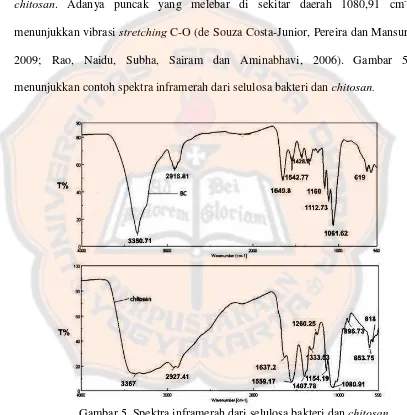 Gambar 5. Spektra inframerah dari selulosa bakteri dan  chitosan (Anicuta, Dobre, Stroescu dan Jipa, 2010)