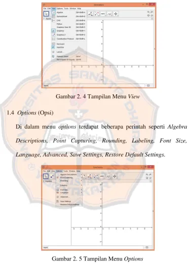 Gambar 2. 5 Tampilan Menu Options