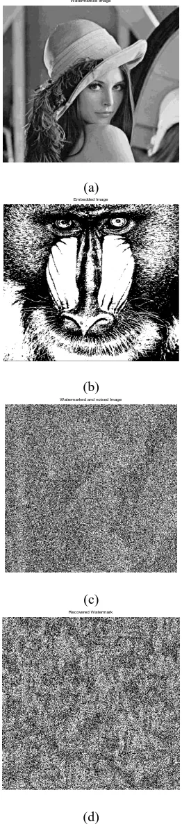 Figure 7: a) the watermarked image Lena; b) the watermark image baboon; c) the watermarked image with extreme noise applied to it; d) the retrieved waterwark 