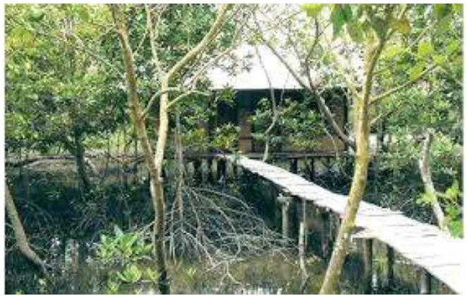 Gambar 3.5. Salah satu Penginapan (Homestay) yang Terdapat di Wisata Mangrove Kampoeng Nipah Sumber: Internet 