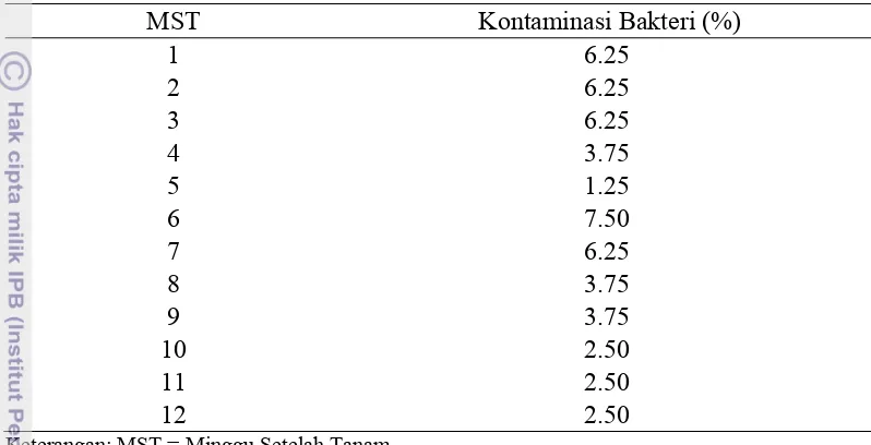 Tabel 1. Persentase Kontaminasi Bakteri pada Kultur Anthurium andreanum 
