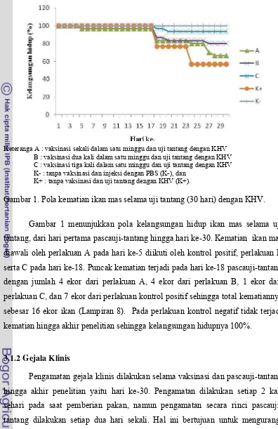 Gambar 1. Pola kematian ikan mas selama uji tantang (30 hari) dengan KHV. 