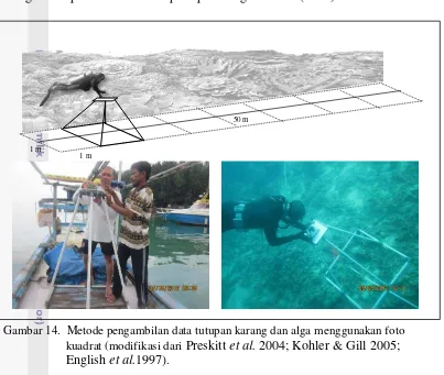 Gambar 14.  Metode pengambilan data tutupan karang dan alga menggunakan foto 