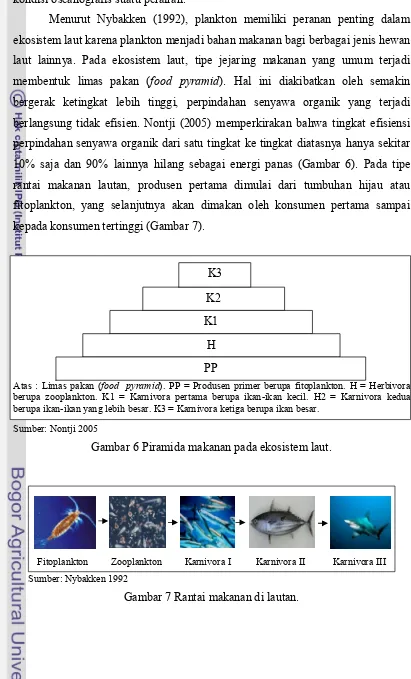 Gambar 6 Piramida makanan pada ekosistem laut. 