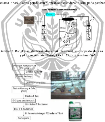 Gambar 3. Rangkaian alat fermentor untuk memproduksi Biopestisida  cair
