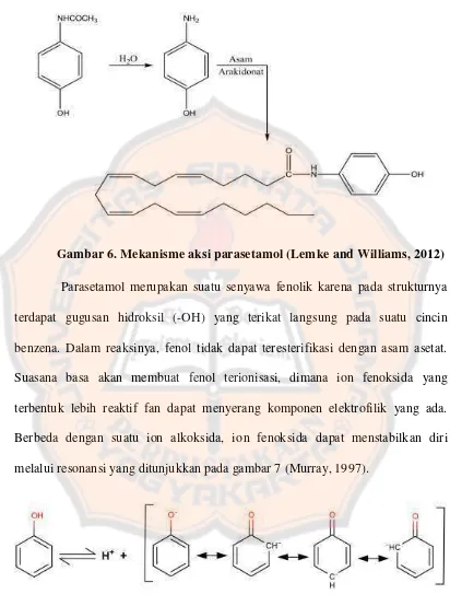 Gambar 6. Mekanisme aksi parasetamol (Lemke and Williams, 2012) 
