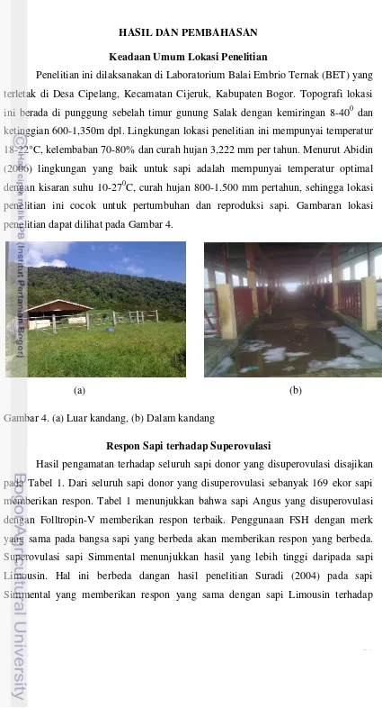 Gambar 4. (a) Luar kandang, (b) Dalam kandang 