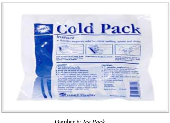 Gambar 8: Ice Pack 