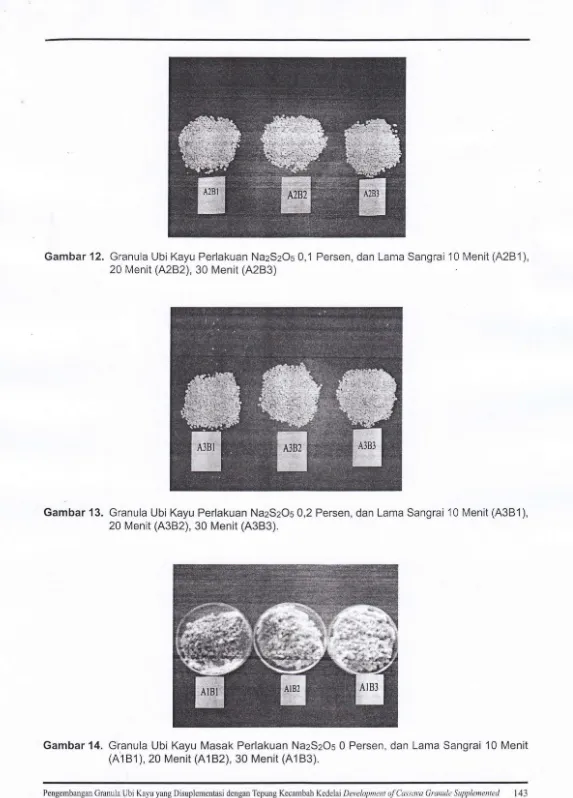 Gambar 12. Granula Ubi Kayu Perlakuan Na2S205 0,1 Persen, dan Lama Sangrai 10 Menit (A2B 1), 