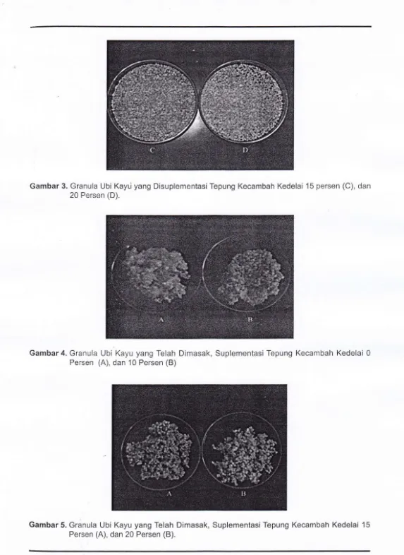 Gambar 3. Granula Ubi Kayu yang Oisuplementasi Tepung Kecambah Kedelai 15 persen (C), dan 