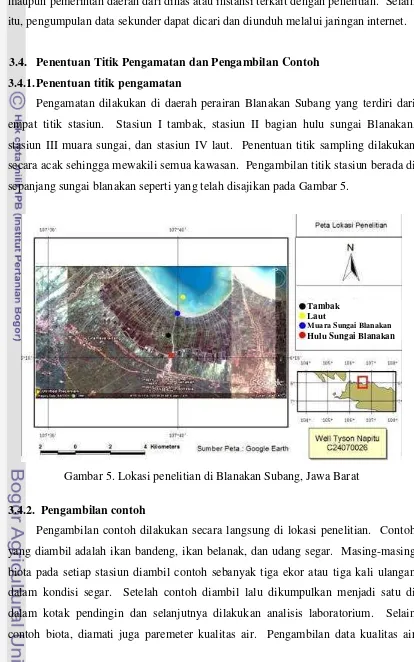 Gambar 5. Lokasi penelitian di Blanakan Subang, Jawa Barat 
