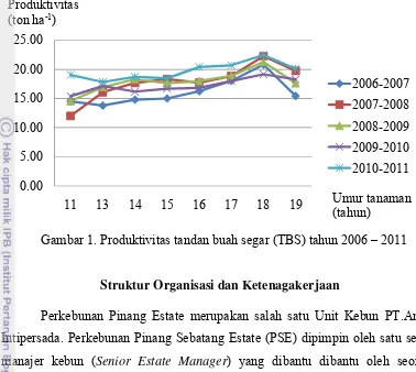 Gambar 1. Produktivitas tandan buah segar (TBS) tahun 2006 – 2011 