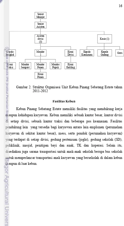 Gambar 2. Struktur Organisasi Unit Kebun Pinang Sebatang Estate tahun 