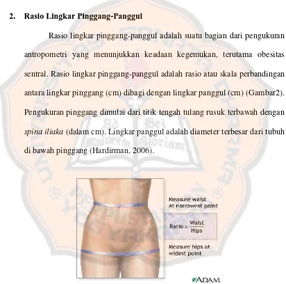 Gambar 2. Rasio Lingkar Pinggang-Panggul (UMCC, 2011)