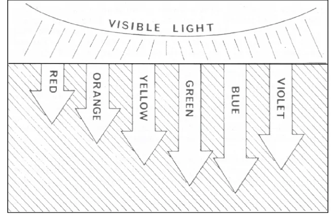 Gambar 2 Penyebaran cahaya tampak (Ben Yami 1987) 