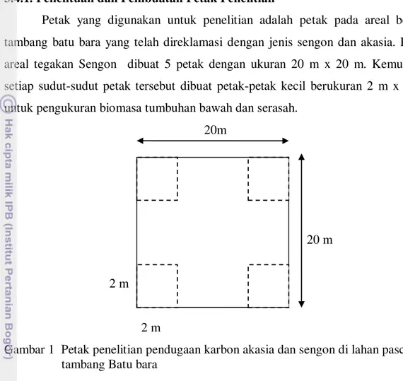 Gambar 1  Petak penelitian pendugaan karbon akasia dan sengon di lahan pasca  tambang Batu bara 