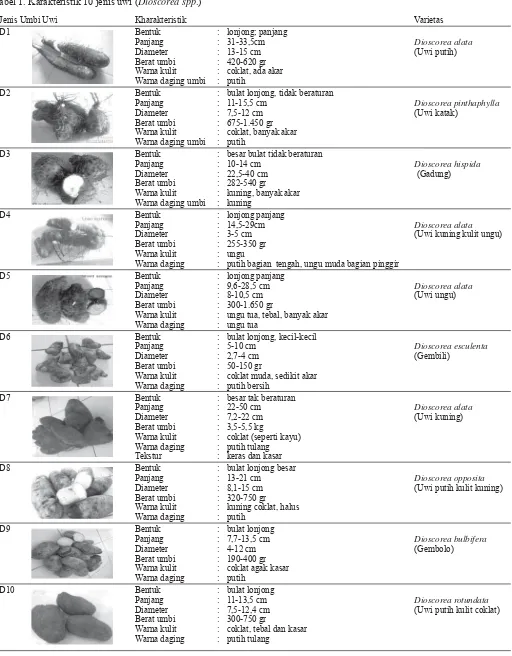 Tabel 1. Karakteristik 10 jenis uwi (Dioscorea spp.)