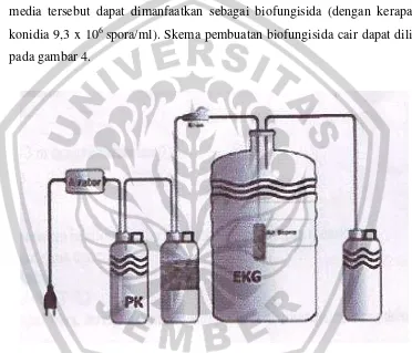 Gambar 3.  Rangkaian alat fermentor untuk memproduksi Biofungisida Trichoderma cair         ( pk : Larutan Sterilisasi, EKG : Ekstrak Kentang Gula) 