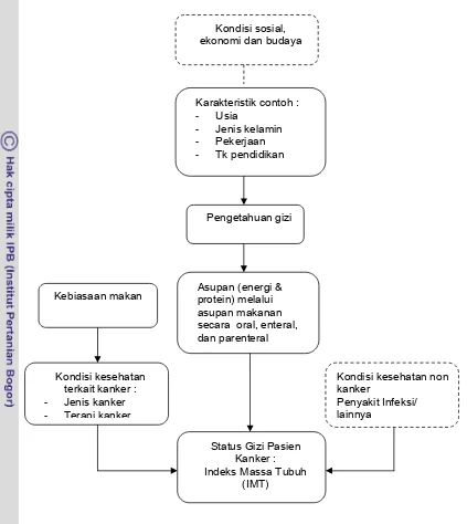 Gambar 1 Kerangka pemikiran hubungan antara status gizi pasien kanker 