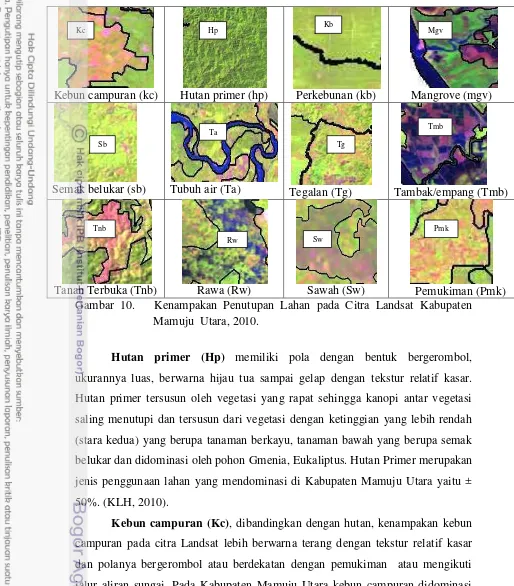 Gambar 10.   Kenampakan Penutupan Lahan pada Citra Landsat Kabupaten 