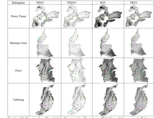 Gambar 13. Kenampakan Citra Indeks Vegetasi dan Penyebaran Titik Sampel Lapang pada Kabupaten Flores Timur, Mamuju Utara, Paser dan Tabalong