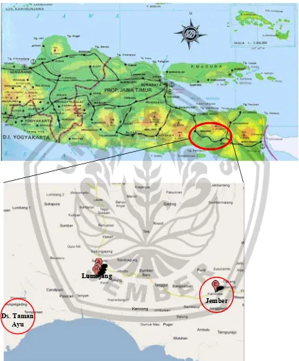 Gambar 1. Peta Jawa Timur dan lokasi pelaksanaan program kegiatan IbM 